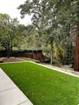 Shared Backyard
