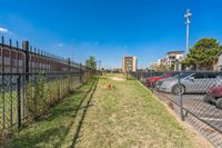 Fenced in dog park