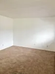1-Bed 1-Bath