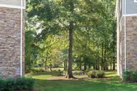 Serene Picnic Views