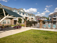 Picnic Area with Pool Views