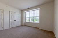 Plush Wall-to-Wall Carpeting