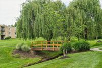 Picturesque landscapes