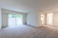 Plush Carpet Options