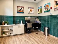 Pet Spa