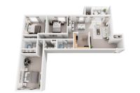3 Bed 2 Bath