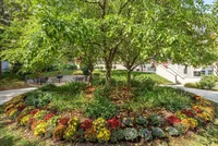 Charming garden with lush green trees, vibrant blooming flowers, and a peaceful seating area, ideal for relaxation.