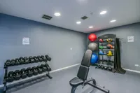 Modern fitness room equipped with dumbbells, an adjustable bench, and colorful exercise balls, perfect for a versatile workout experience.