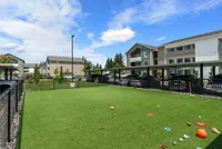 Dog Park