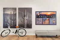 Take Our Bikes For A Spin