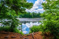 MillPond2022-37
