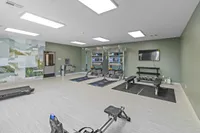 Spacious modern gym with sleek equipment, vibrant wall design, and ample workout space for a refreshing fitness experience.