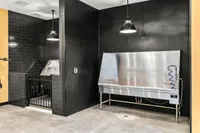 Pet-Friendly Perks at Park Avenue Apartments in SLC, UT