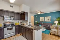 Contemporary open-concept kitchen and living room at Raveneaux Apartments with sleek dark cabinets, cozy sitting area, and vibrant accent colors.