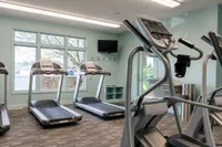 Clearview Fitness Center Contemporary fitness center at Clearview Apartments in Holland featuring state-of-the-art treadmills and a serene view.