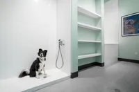 Pet-Friendly Amenities