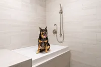 Pet-Friendly Perks at Current Apartments in Murray, UT
