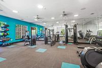 Summer Park's modern fitness center featuring state-of-the-art equipment, vibrant decor, and spacious mirrored walls, perfect for a lively workout atmosphere.