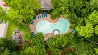 Lush aerial view of a resort-style swimming pool surrounded by vibrant greenery and luxurious loungers, offering a serene escape at Raveneaux Apartments in Houston Texas