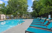 Resort-Style Pool and Sundeck at Park at Oak Ridge