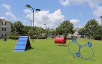 Pet-Friendly Perks at Lake St. James Apartments