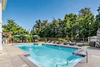 Inviting outdoor pool area with elegant lounge chairs and green umbrellas, surrounded by lush trees and serene ambiance.