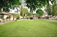 Inviting apartment complex set in lush, green landscape with well-maintained lawns, palm trees, and a serene ambiance at Camelot Apartments in Yuma, Arizona.
