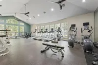 Spacious modern gym with abundant natural light, featuring treadmills, ellipticals, and exercise bikes  at Raveneaux Apartments in Houston Texas