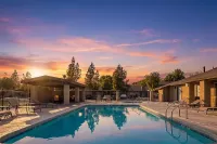 Resort-Style Pool at Sunset