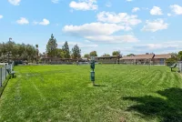 Pet-Friendly Perks at Camelot Apartments in Yuma, Arizona
