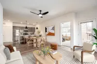 Modern 1-Bedroom & 2-Bedroom Apartments in Charlottesville
