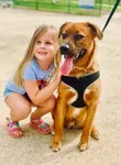 Dog Friendly