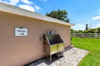Charming outdoor dog spa area with grooming station surrounded by lush greenery and blue skies.