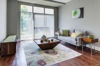 Living Room with Natural Light