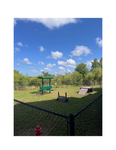Dog Park 2024_Page_1