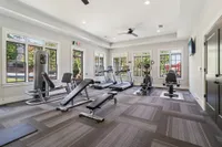 Bright, modern gym with large windows, featuring state-of-the-art equipment including treadmills, elliptical machines, and benches.