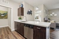 Dishwasher and View of Countertop Space