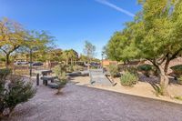 Dog Park