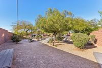 Dog Park