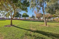 Neighborhood Park (Mission Hills)