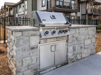 Grill-master outdoor gas grill