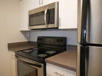 apartments in miami florida for rent