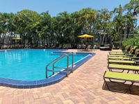 Swimming Pool | Apartment Homes in Palm Beach Gardens, FL | Trunbury at Pam Beach Gardens