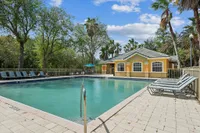 Inviting outdoor swimming pool area with sun loungers surrounded by lush palm trees and vibrant greenery.