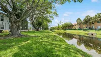 Tranquil apartment view with lush greenery, mature trees, and a serene canal, perfect for a nature lover's retreat.