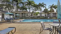 Inviting apartment community pool surrounded by lush palm trees and charming seating areas, perfect for relaxation.