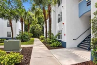 Lymestone Ranch - Palm Trees Pathway