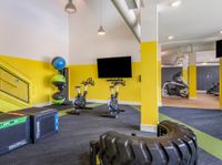 Gym Bikes