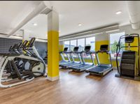 Gym Cardio Equipment