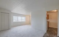 Plush Carpeting/Vinyl Plank Flooring